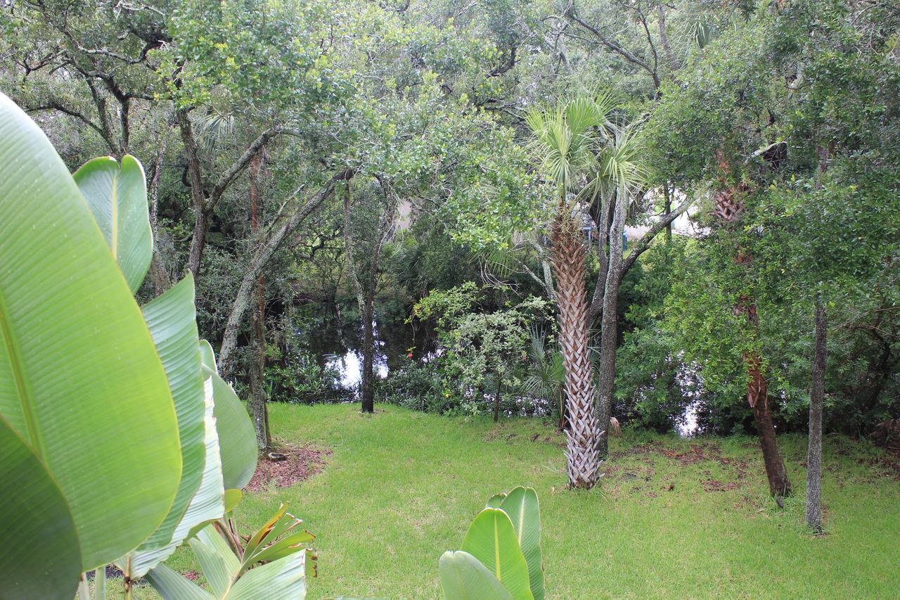 Vila Treehouse Tampa Exteriér fotografie