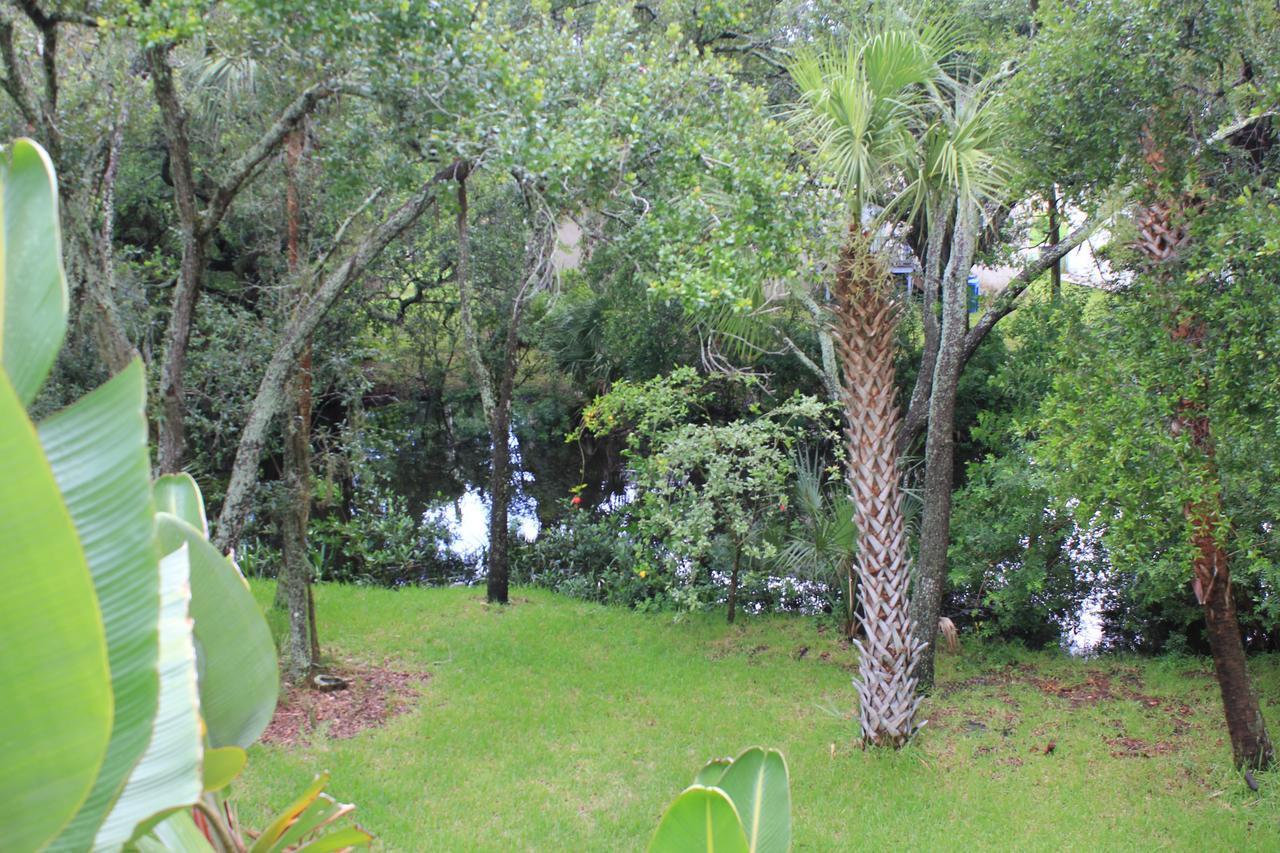 Vila Treehouse Tampa Exteriér fotografie
