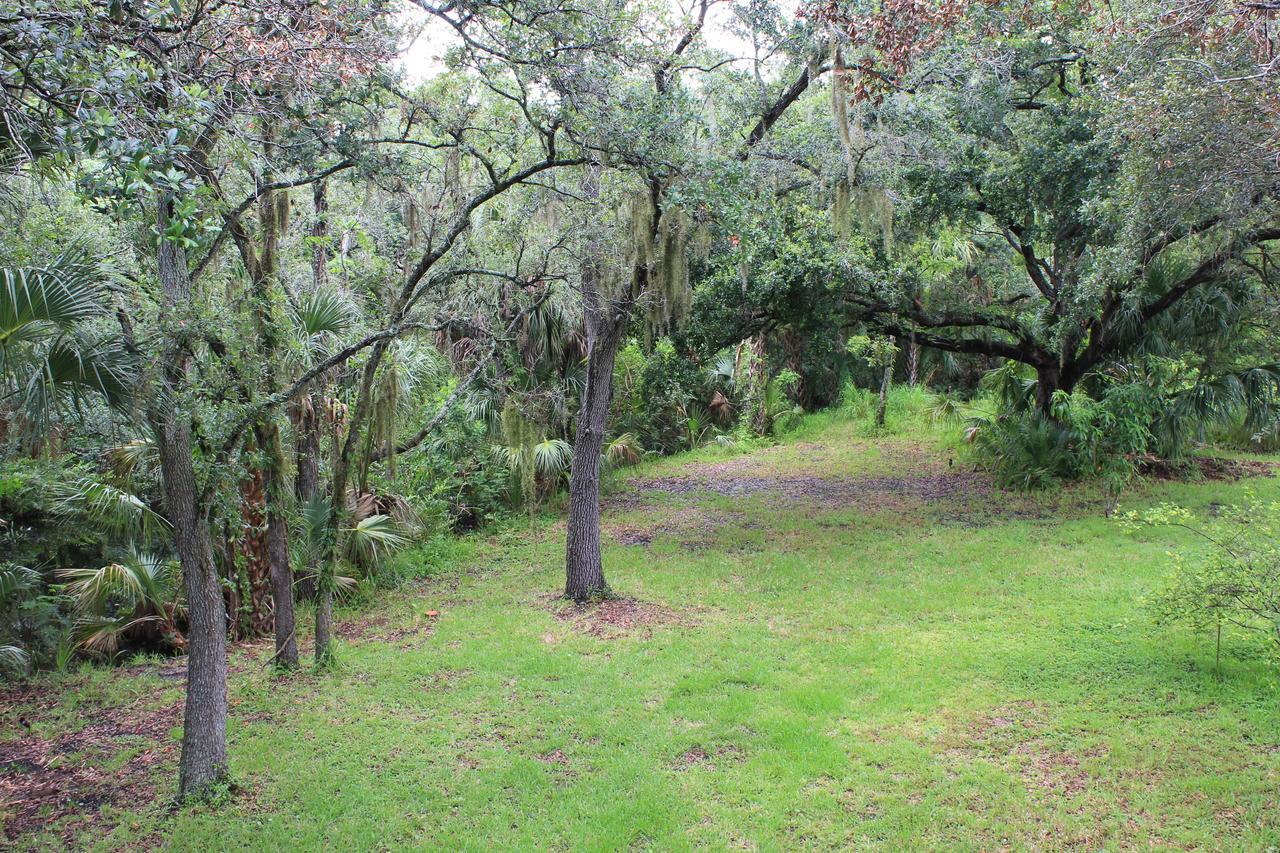 Vila Treehouse Tampa Exteriér fotografie