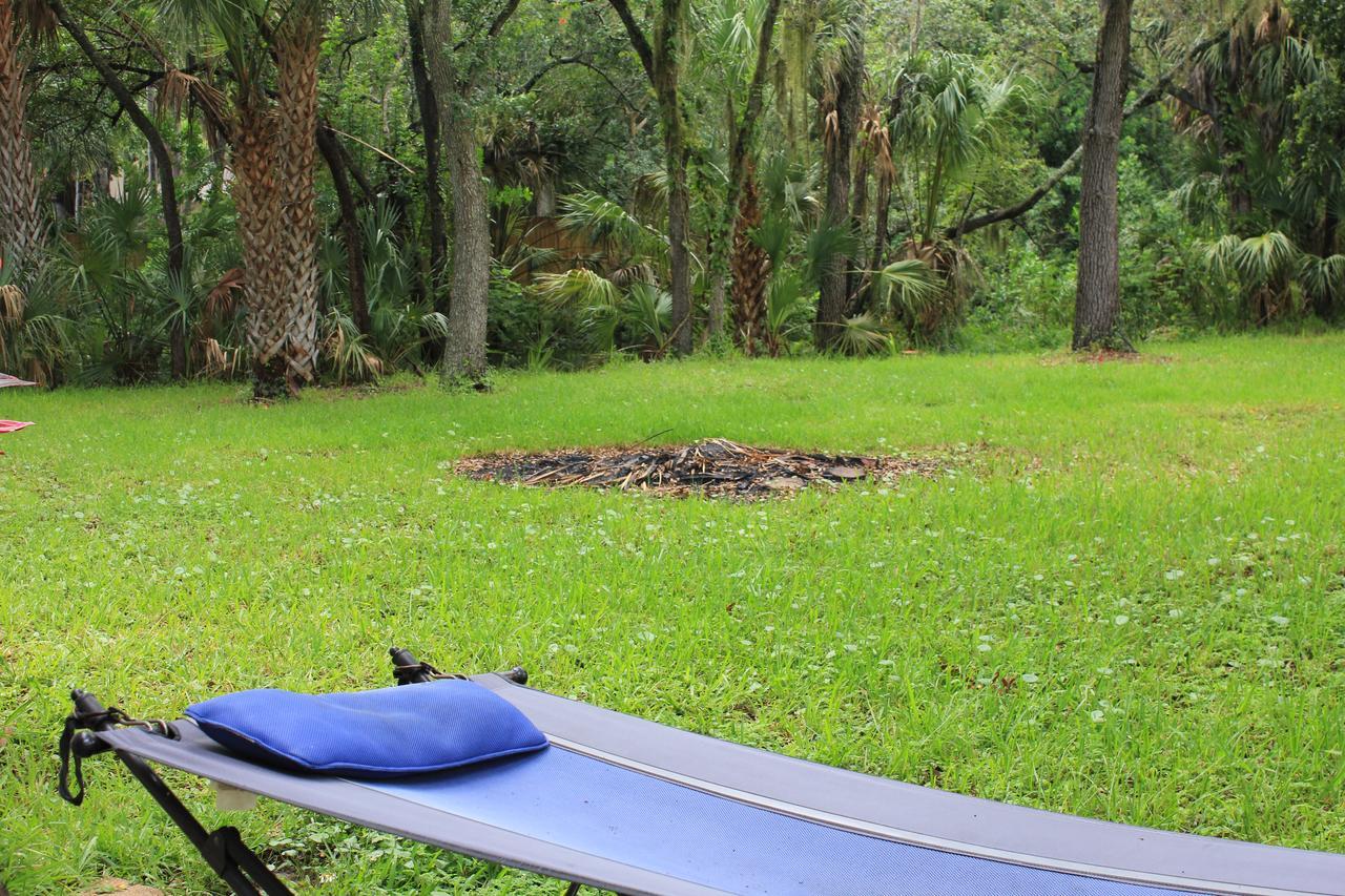 Vila Treehouse Tampa Exteriér fotografie